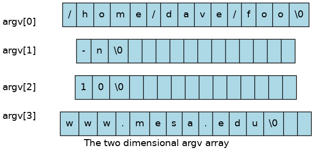 The two dimensional array argv